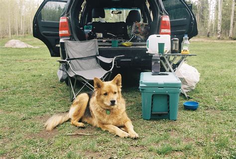 The best camping water containers and water storage tips | Lore Outdoors