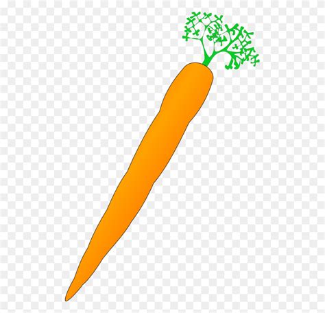 Carrot Nose Vegetable Drawing Computer Icons - Carrot Nose Clipart ...