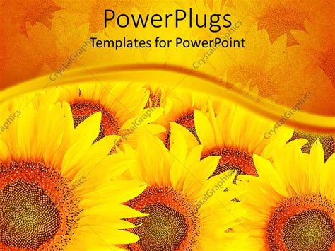 PowerPoint Template: a bunch of sunflowers with their reflection in the ...