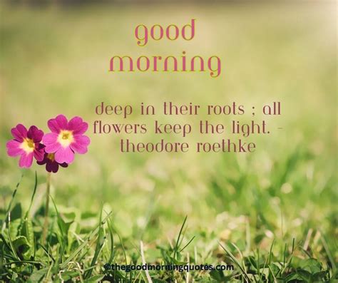 54+ Beautiful Good Morning Nature Quotes - Good Morning Quotes