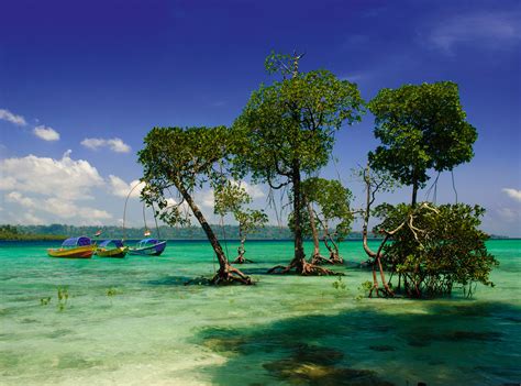 New openings in the Andamans | How To Spend It