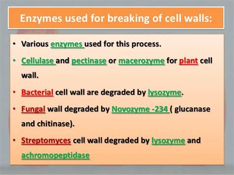 Protoplast fusion technology