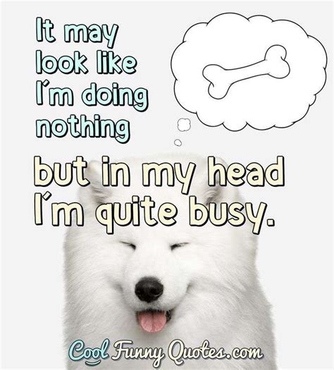 Funny Quotes And Phrases And Sayings