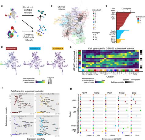 Gene regulatory networks reveal cell-type-specific regulatory ...