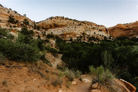 Hiking to Lower Calf Creek Falls: The Best Waterfall in Utah