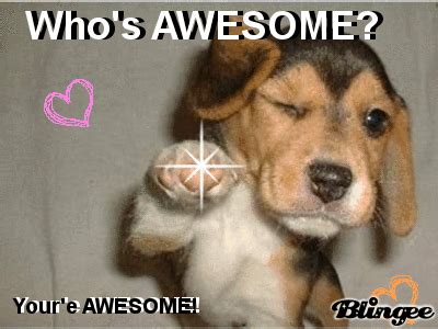 youre awesome Picture #66557973 | Blingee.com