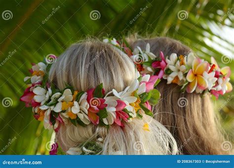 Traditional Tropical Frangipani Flower Lei Crowns on the Heads a Girl ...