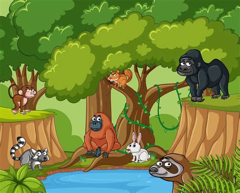 Many wild animals in forest 368924 Vector Art at Vecteezy