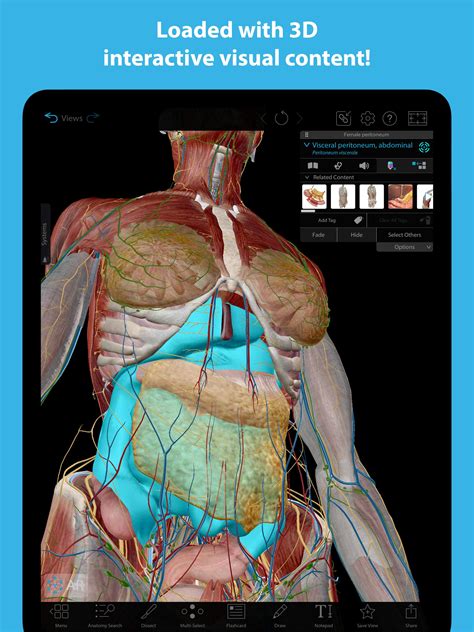 Human Anatomy Atlas 2023安卓最新版本2023.01.001