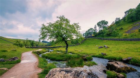 Free picture: sky, summer, landscape, grass, tree, nature, water, outdoor