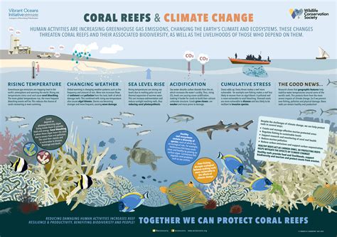 Coral Bleaching Effects