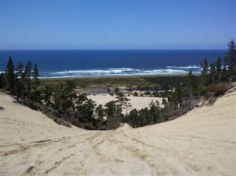 Winchester Bay Dunes, top of Banshee Hill | Pretty places, Favorite ...