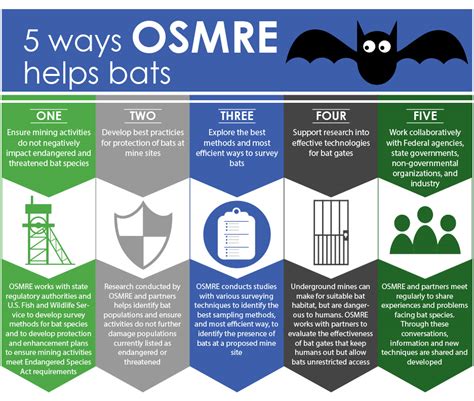 Bat Conservation and Mining | Office of Surface Mining Reclamation and ...