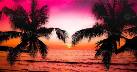 Beautiful sunset on the tropical sea beach.Silhouette of palm trees on ...