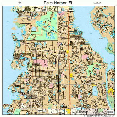 Palm Harbor Florida Street Map 1254350