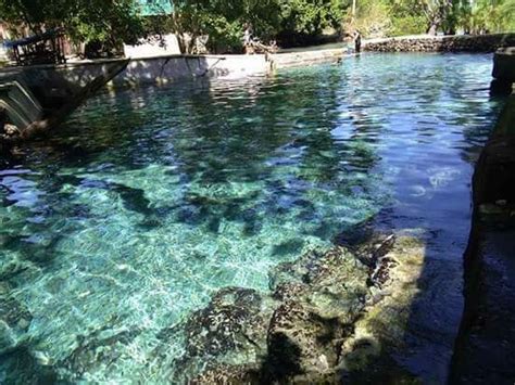 Tabogon Cebu - What To Do And Where To Go | Cebu, Where to go, Tropical ...