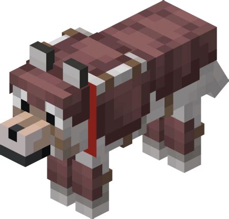 Wolf Armor Minecraft : How Do I Get It ? - Minecraft Tutos