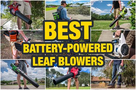 Best Cordless Leaf Blower Reviews for 2024 - PTR