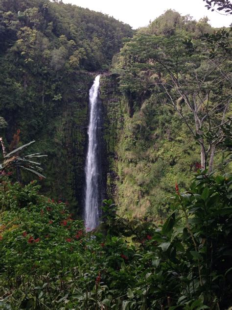 Akaka Falls - Big Island