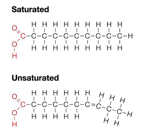 The Cold TRUTH About Saturated Fat: The Real Facts You Need to Know ...