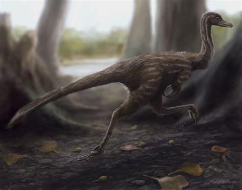 Pictures and Profiles of Feathered Dinosaurs