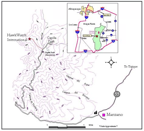 Cibola National Forest-Manzano Hawkwatch Site - Birding Hotspots