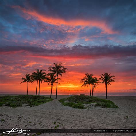 Explosive Sunrise Colors Over Cocnut Trees at Beach | HDR Photography ...