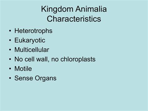 Kingdom Animalia Characteristics