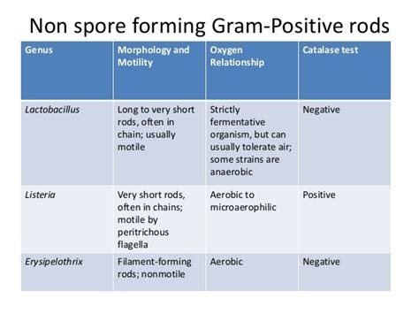 Catalase Positive Bacteria List