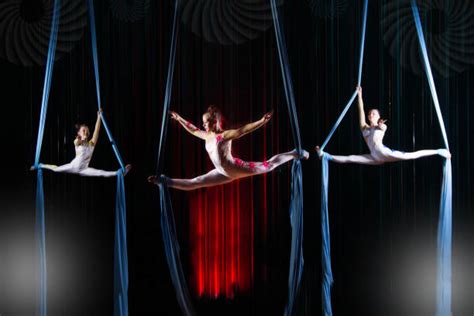 What do circus acrobats do in circus? - AcroCollege