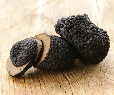 Black truffles are in trouble | Popular Science