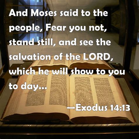 Exodus 14:13 And Moses said to the people, Fear you not, stand still ...