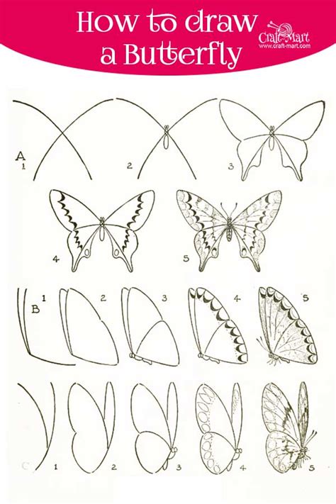 butterfly-how-to-draw - Craft-Mart