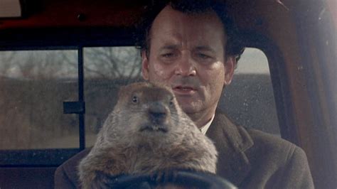 Viewing Party! Let’s All Watch ‘Groundhog Day’ Together! - The New York ...