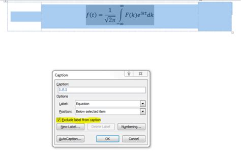 Latex Equation Label Position - Tessshebaylo