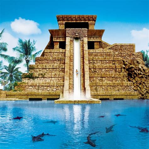 Leap of Faith (Atlantis Paradise Island, Bahamas) – Slaylebrity