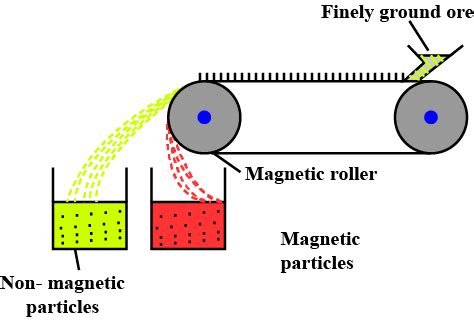 Draw a neat labelled diagram.Magnetic separation method.