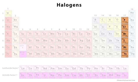 Halogens - Chemistry Learner