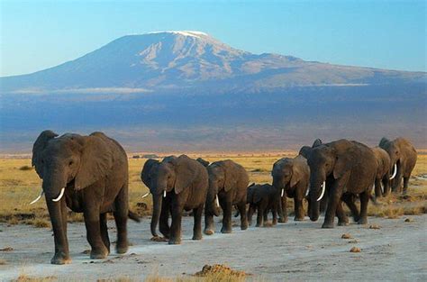 Ol Tukai Lodge - Kenya, Amboseli National Park (Location)