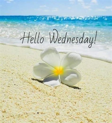 Happy Wednesday coastal lovers~ | Good morning wednesday, Happy day ...