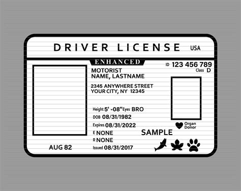 Driver Licence Svg Driver License Id Svg Id Card - Etsy UK