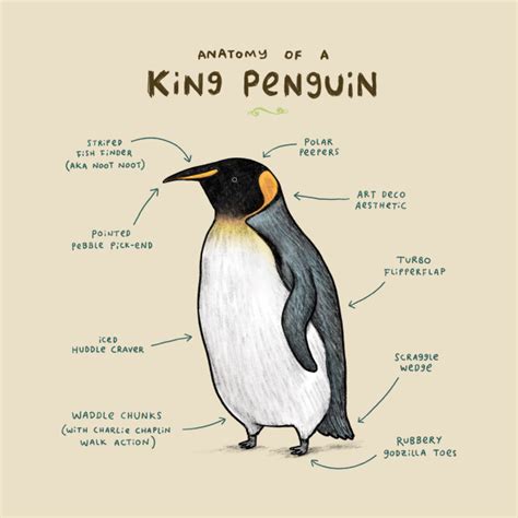 Anatomy of a King Penguin - Penguin - T-Shirt | TeePublic