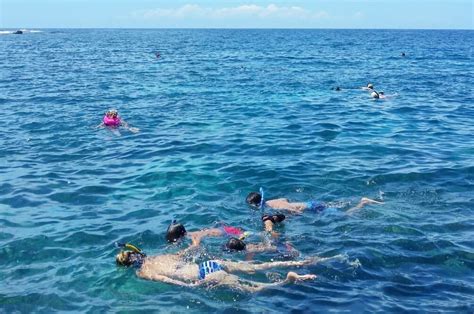 Kona snorkeling 🌴 5 Big Island beach snorkeling spots from shore for ...