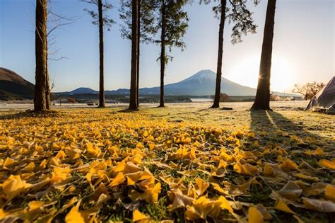 Premium Photo | Mount fuji sunrise