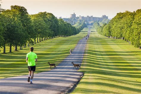 Running - Windsor Great Park