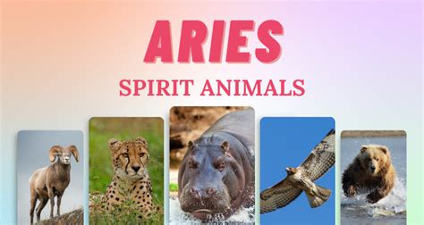 7 Aries Spirit Animals that Embody this Zodiac Sign | So Syncd