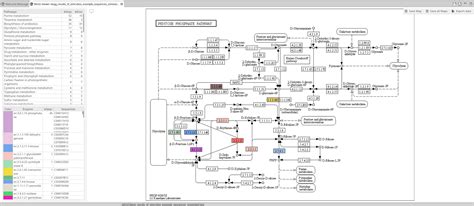 How to retrieve KEGG Pathways - BioBam | OmicsBox