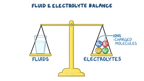 Fluid and Electrolyte Balance - Osmosis Video Library