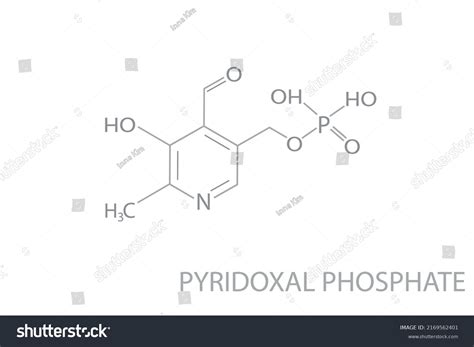 Pyridoxal Phosphate Molecular Skeletal 3d Chemical Stock Vector ...