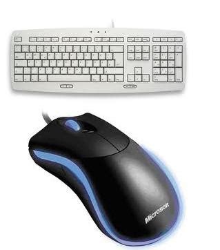 This is a mouse and a keyboard, two important input devices for a ...